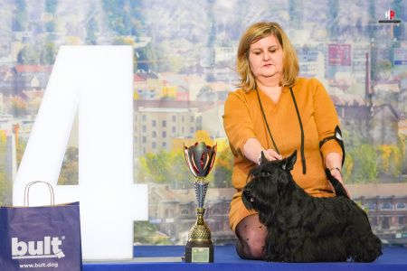 LH109852_hajekphotography.cz