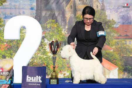 LH109887_hajekphotography.cz