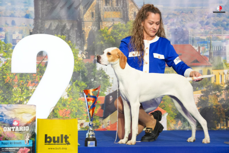 LH100726_hajekphotography.cz