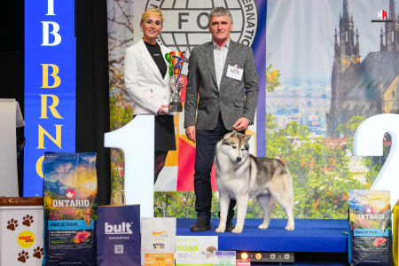 LH101512_hajekphotography.cz