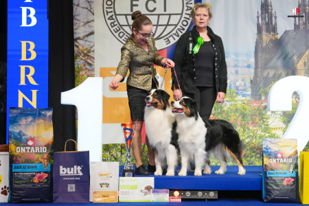 LH101817_hajekphotography.cz