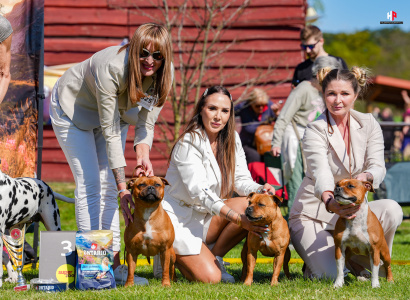 LH507170_hajekphotography.cz