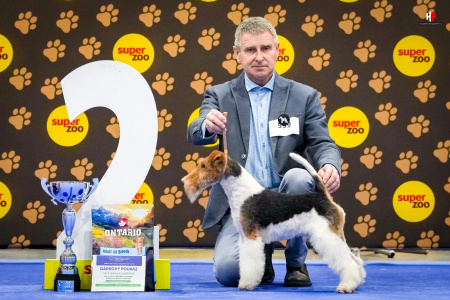 LH104050_hajekphotography.cz