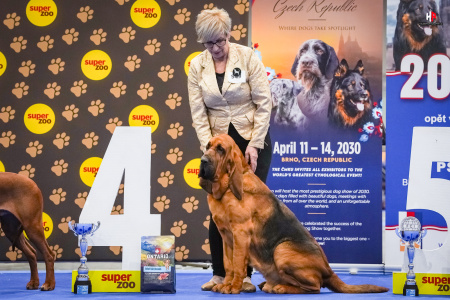 LH104822_hajekphotography.cz