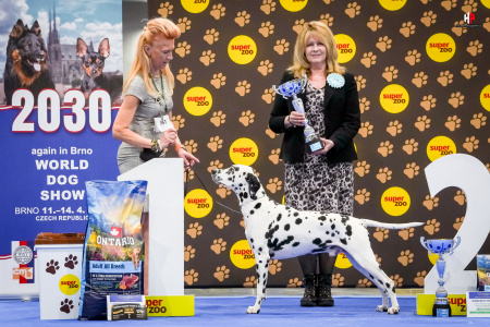 LH104848_hajekphotography.cz