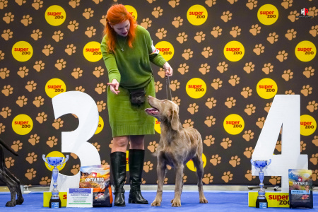 LH105127_hajekphotography.cz