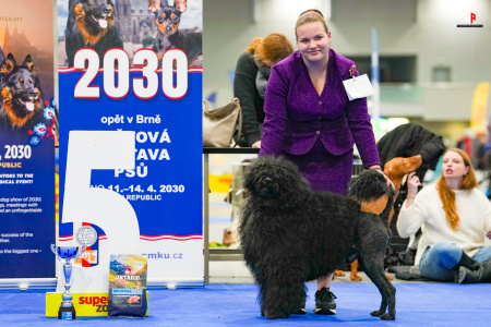 LH105262_hajekphotography.cz