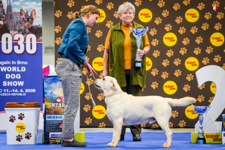 LH105314_hajekphotography.cz