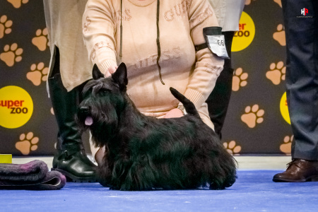 LH106218_hajekphotography.cz