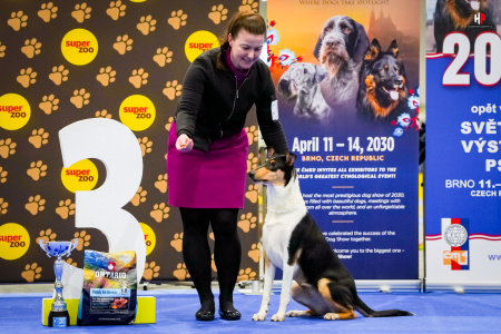 LH101750_hajekphotography.cz