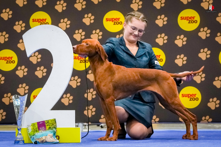 LH108794_hajekphotography.cz