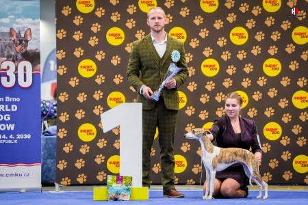 LH108816_hajekphotography.cz