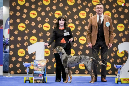 LH103705_hajekphotography.cz