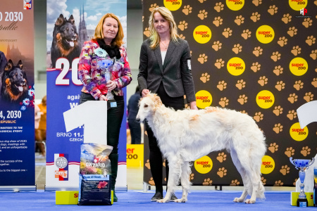 LH102457_hajekphotography.cz