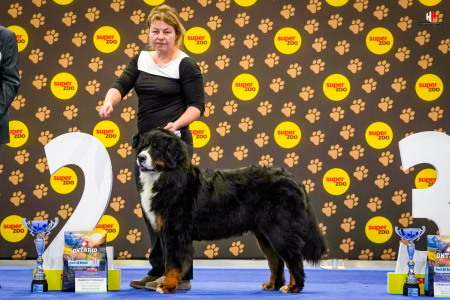 LH101481_hajekphotography.cz