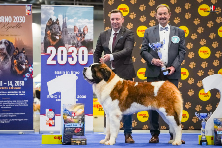 LH101503_hajekphotography.cz