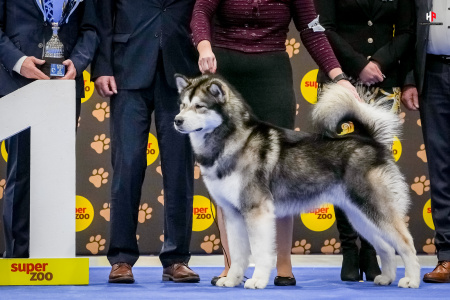 LH104196_hajekphotography.cz