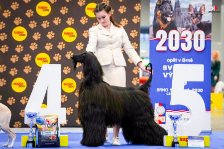 LH103824_hajekphotography.cz