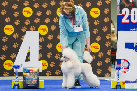 LH103464_hajekphotography.cz