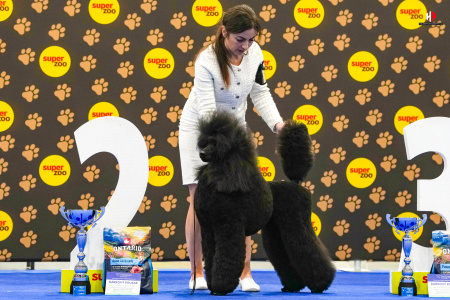 LH103509_hajekphotography.cz