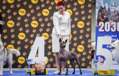 LH103179_hajekphotography.cz