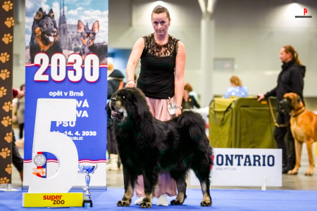 LH102764_hajekphotography.cz