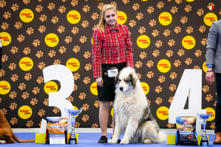 LH102791_hajekphotography.cz