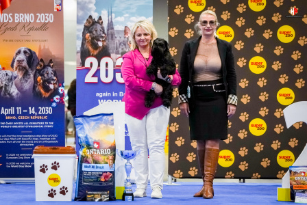 LH102815_hajekphotography.cz