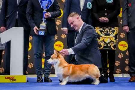 LH205663_hajekphotography.cz