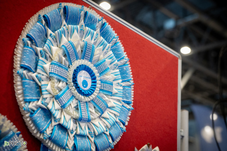 26_NV_BRNO_SO (1) - kopie