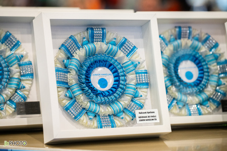 26_NV_BRNO_SO (5) - kopie