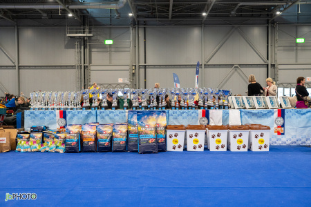 26_NV_BRNO_SO (8) - kopie