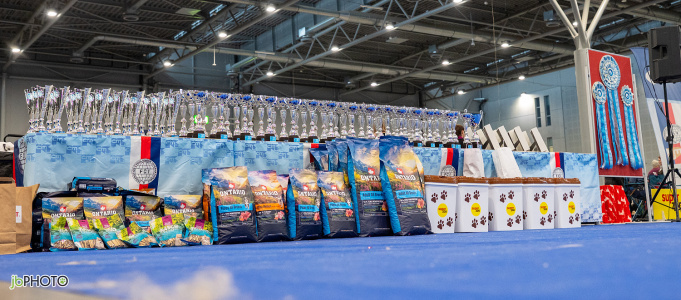 26_NV_BRNO_SO (9) - kopie