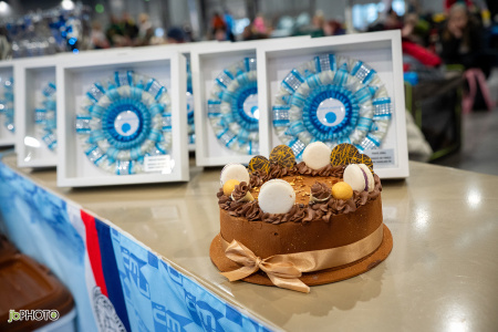 26_NV_BRNO_SO (11) - kopie