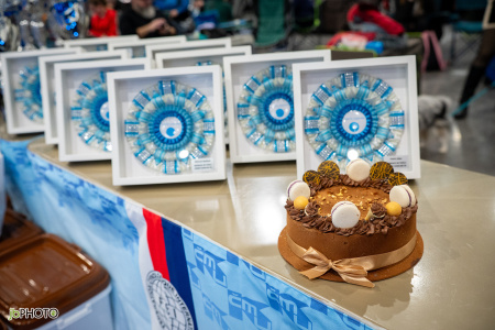 26_NV_BRNO_SO (12) - kopie