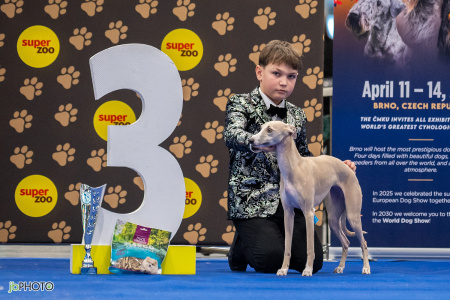 26_NV_BRNO_SO (46) - kopie