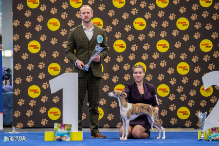 26_NV_BRNO_SO (52) - kopie