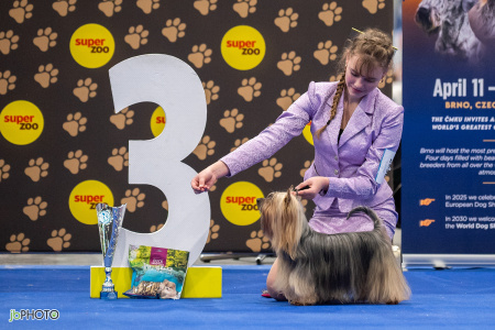 26_NV_BRNO_SO (53) - kopie