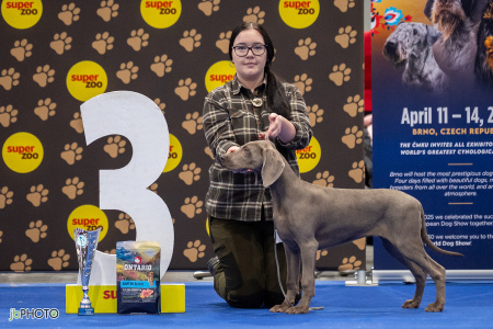 26_NV_BRNO_SO (72) - kopie