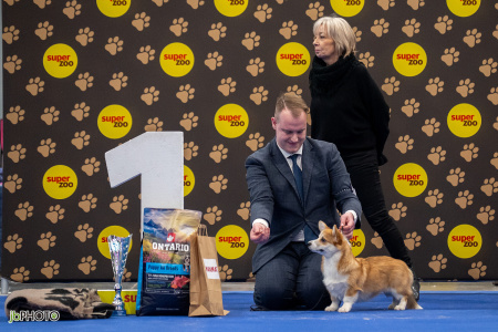 26_NV_BRNO_SO (74) - kopie