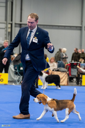 26_NV_BRNO_SO (103) - kopie