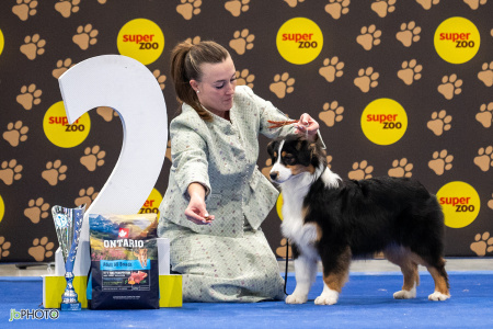 26_NV_BRNO_SO (111) - kopie