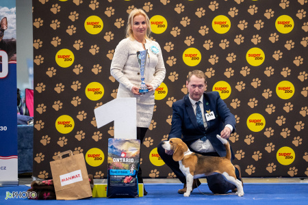 26_NV_BRNO_SO (112) - kopie