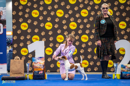 26_NV_BRNO_SO (140) - kopie