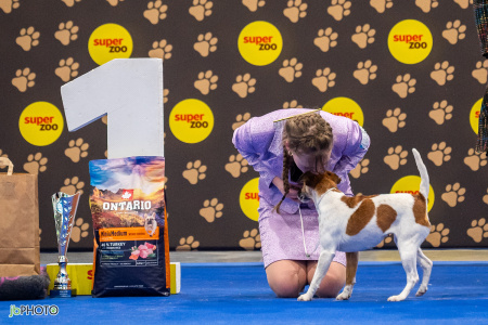 26_NV_BRNO_SO (141) - kopie