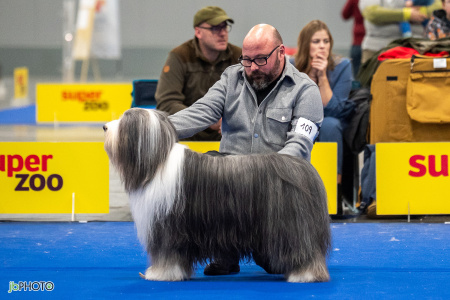 26_NV_BRNO_SO (160) - kopie