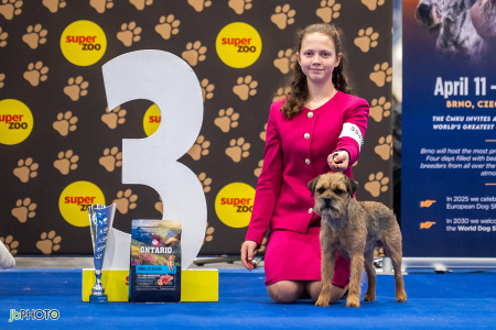 26_NV_BRNO_SO (161) - kopie