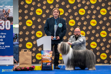 26_NV_BRNO_SO (163) - kopie