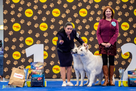 26_NV_BRNO_SO (191) - kopie