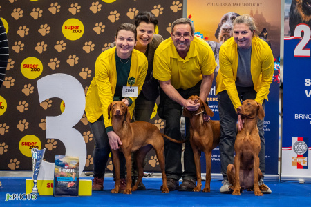 26_NV_BRNO_SO (202) - kopie